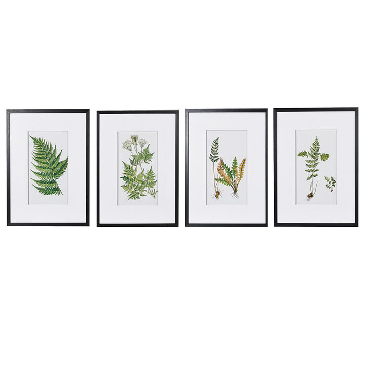 Green Fern Art - Set of 4